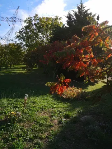 automne antre des vices