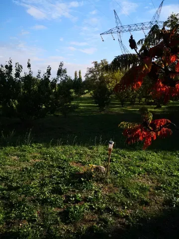 automne antre des vices