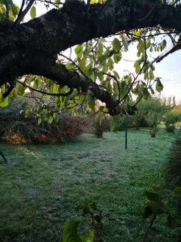 automne antre des vices