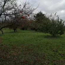 automne antre des vices