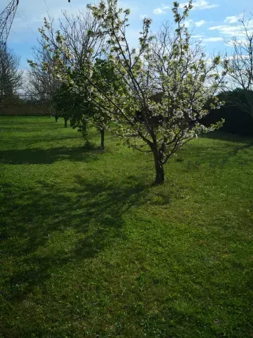 printemps antre des vices